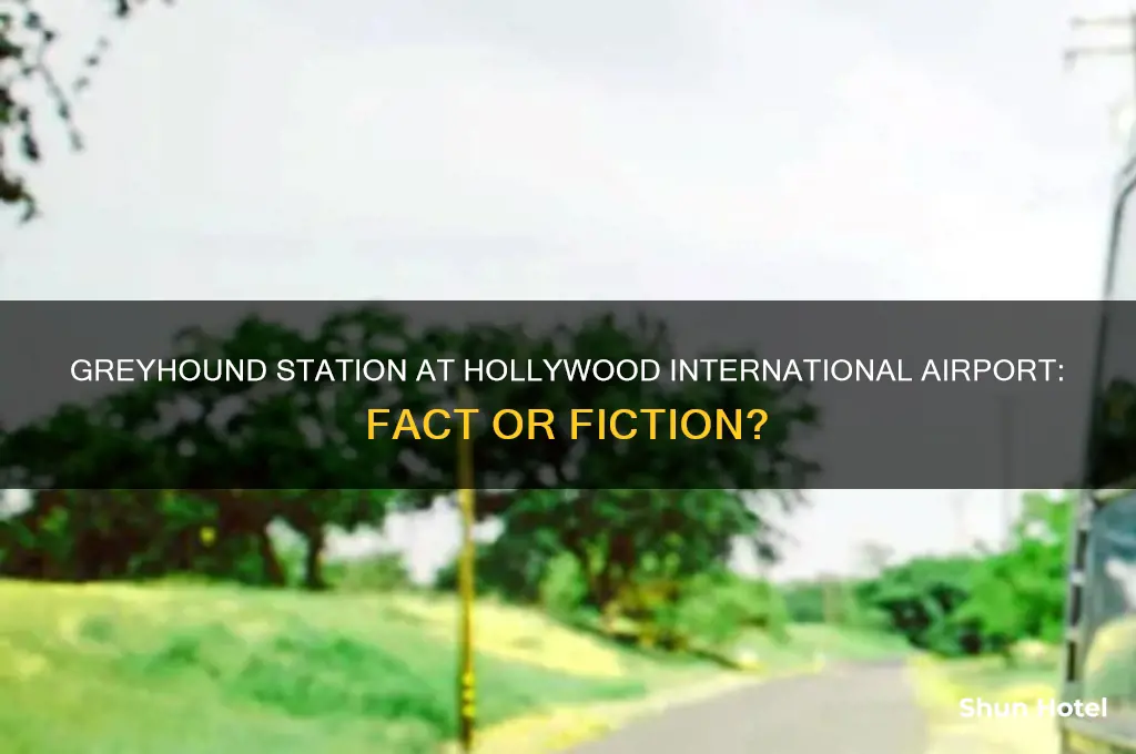 is there a greyhound station at hollywood international airport