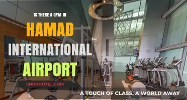 Stay Fit While Traveling: Gym Facilities at Hamad International Airport
