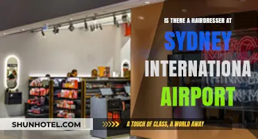 Sydney Airport Hairdresser: Your Pre-Flight Styling Solution?