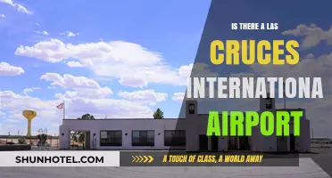Exploring Las Cruces: Does the City Have an International Airport?