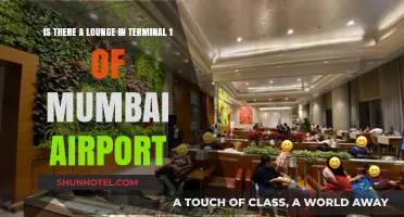 Exploring Mumbai Airport: Unveiling Terminal 1's Lounge Secrets