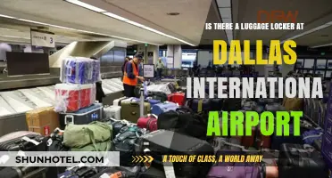 Dallas International Airport Luggage Locker Availability: What You Need to Know