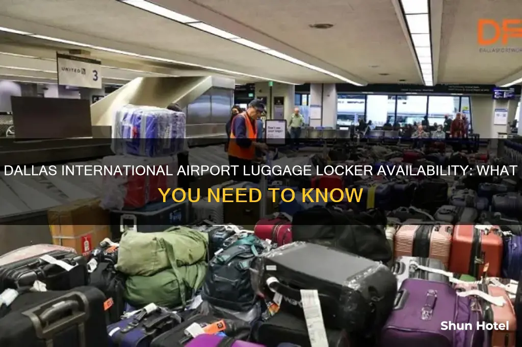 is there a luggage locker at dallas international airport