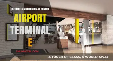 Exploring Boston Airport Terminal E: Is There a McDonald's?