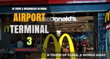 Exploring Dubai Airport Terminal 3: Is There a McDonald's?