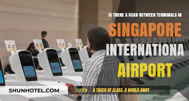Singapore Airport Terminal Scans: What Travelers Need to Know
