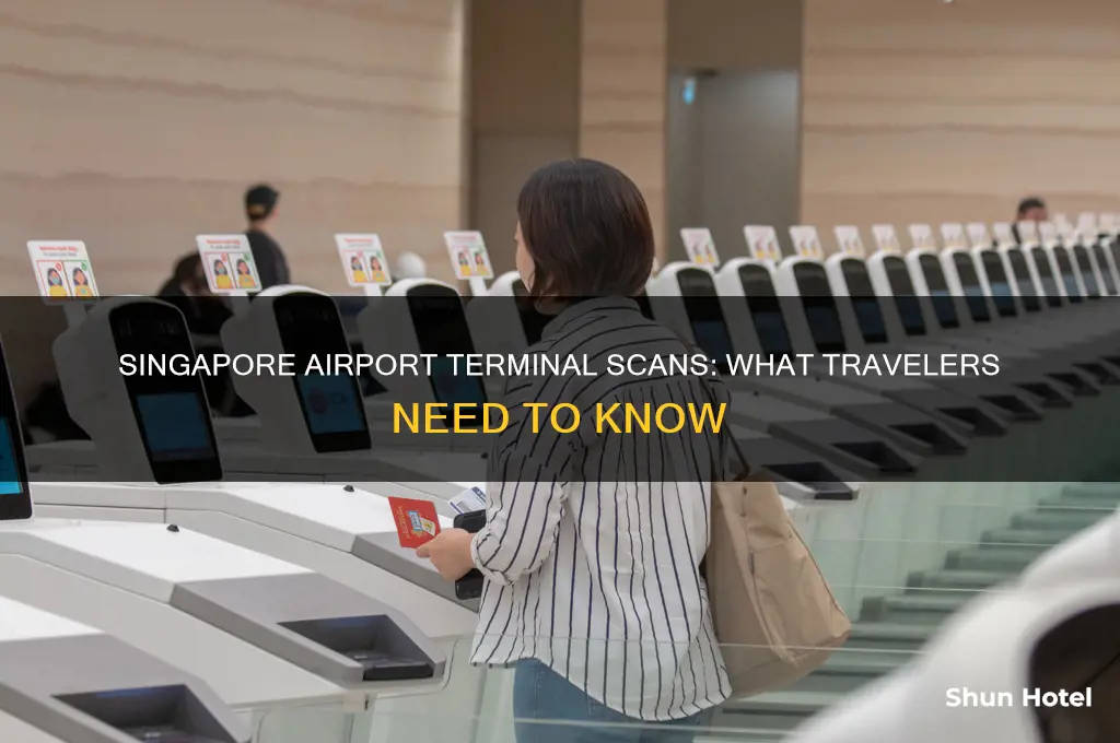 is there a scan between terminals in singapore international airport