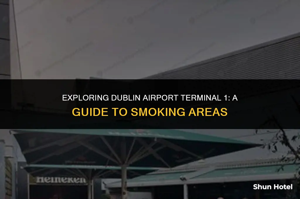 is there a smoking area in dublin airport terminal 1