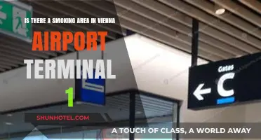 Exploring Vienna Airport Terminal 1: A Guide to Smoking Areas