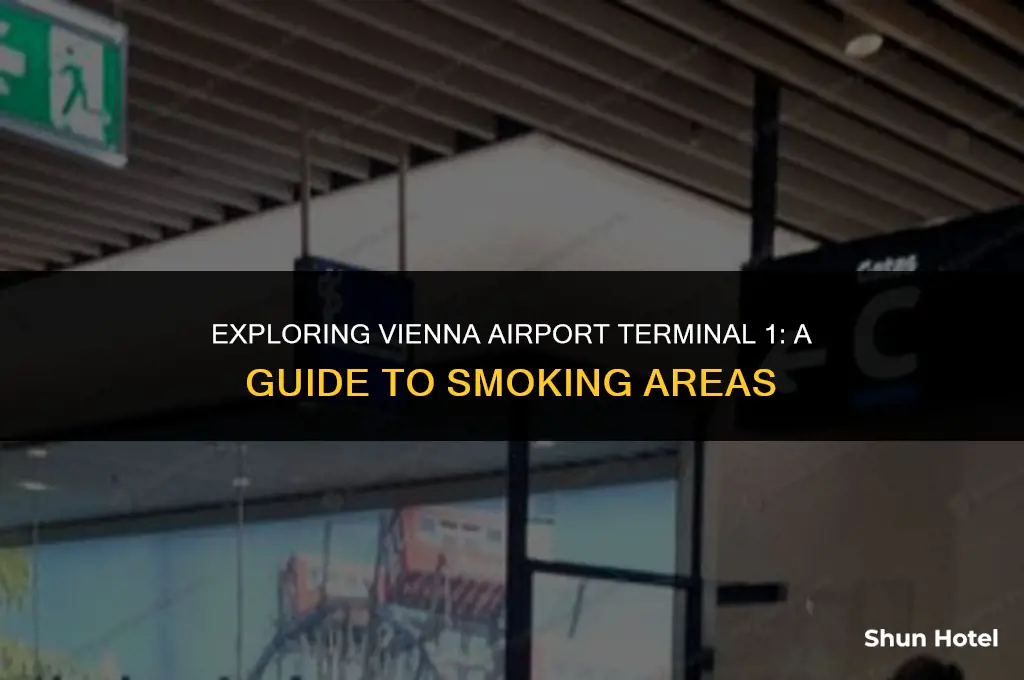 is there a smoking area in vienna airport terminal 1