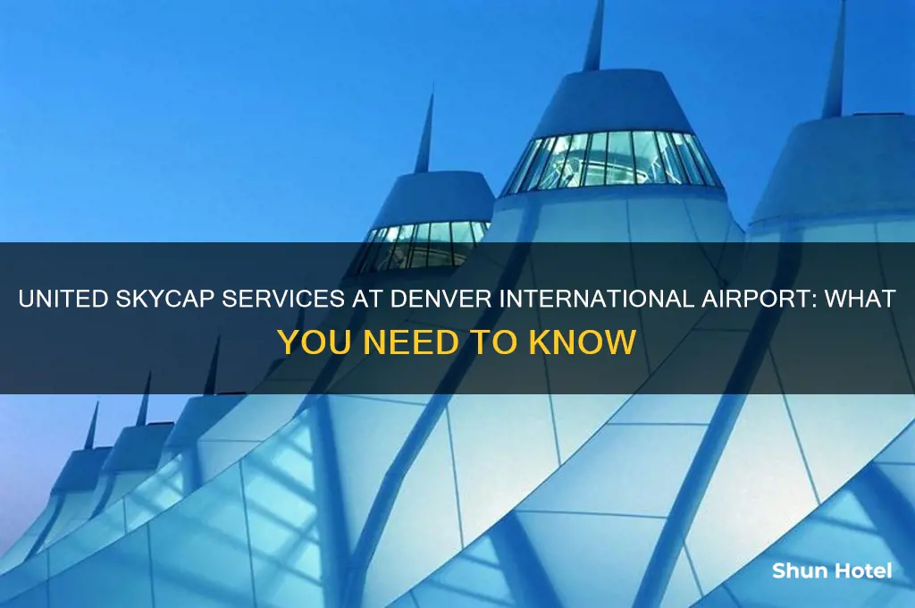 is there a united skycap at denver international airport