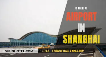 Shanghai's Airport: Does It Exist?