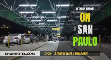 Sao Paulo's Airport Infrastructure: A Travel Hub?
