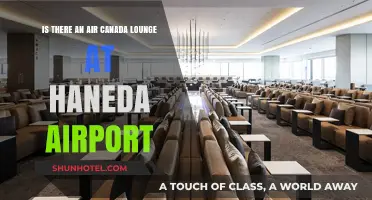 Air Canada Lounge Access at Haneda Airport
