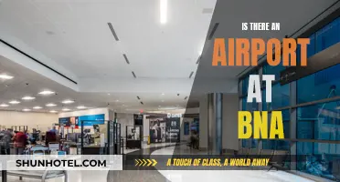 BNA's Airport: What You Need to Know