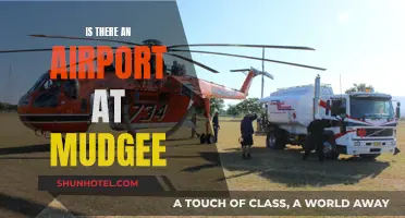 Mudgee Airport: Does It Exist?