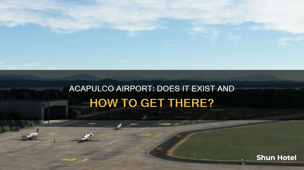 is there an airport in acapulco