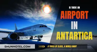 Antarctica's Airport: Does It Exist?