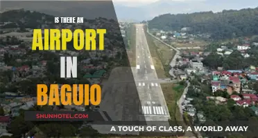 Airport Accessibility: Baguio's Air Travel Prospects