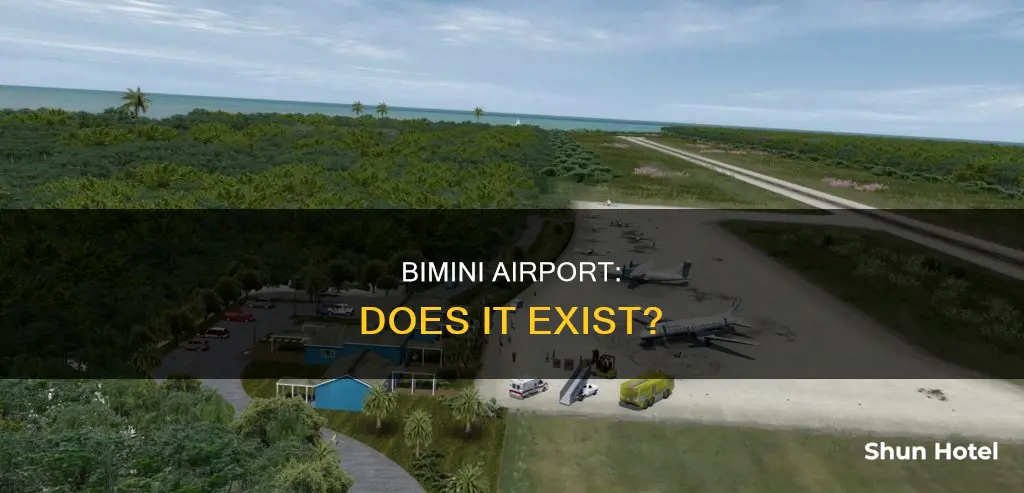 is there an airport in bimini