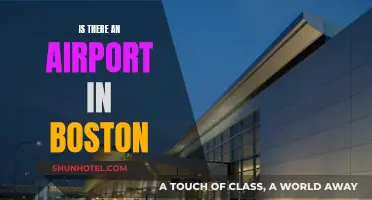 Boston's Airport: An Essential Travel Hub and Gateway