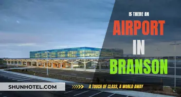 Exploring Branson's Air Travel Options: Airport Accessibility
