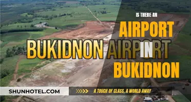 The Hunt for Bukidnon's Elusive Airport: A Traveler's Conundrum