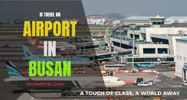 Busan's Airport: An Essential Travel Gateway