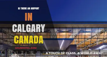Calgary International Airport: A Canadian Travel Hub