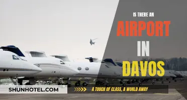 Davos Airport: Does It Exist?