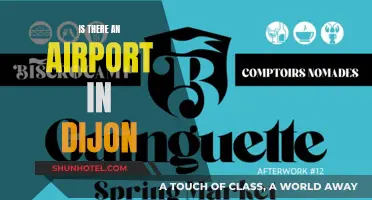 Dijon's Airport: Does It Exist?