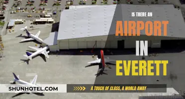 Everett's Airport: Does It Exist?