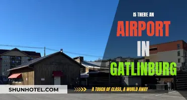 Exploring Gatlinburg: Airport Accessibility and Travel Options