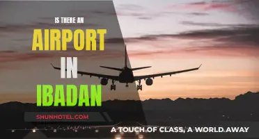 Ibadan's Airport: Does It Exist?