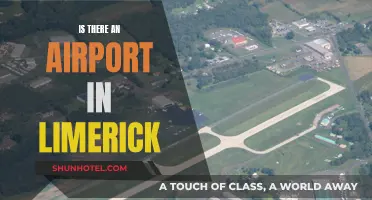 Limerick Airport: Does It Exist?