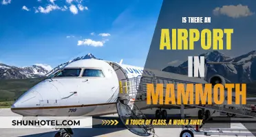 Airport Accessibility: Mammoth's Travel Hub Explored