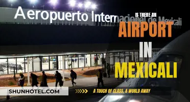 Mexicali Airport: Does It Exist?