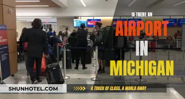 Michigan Airport: Does It Exist and Where?