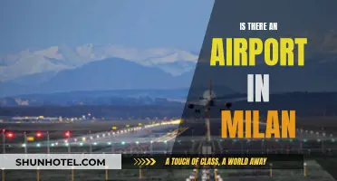 MIlan's Airports: A Guide to Malpensa and Linate