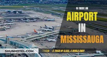 Mississauga's Airport: Does It Exist?