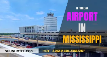 Airport Accessibility in Mississippi: Is There an Option?