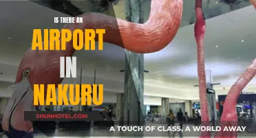 Nakuru Airport Existence: Fact or Fiction?