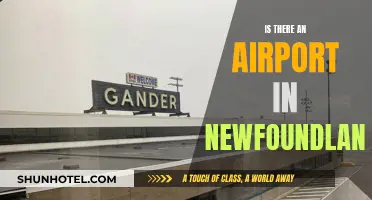 Newfoundland's Airport: A Travel Gateway to the Island