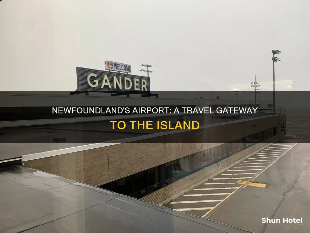 is there an airport in newfoundland