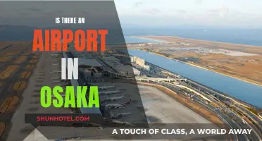 Osaka's Airports: Travel Hub for International and Domestic Flights