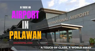 Palawan Airport: Does It Exist?