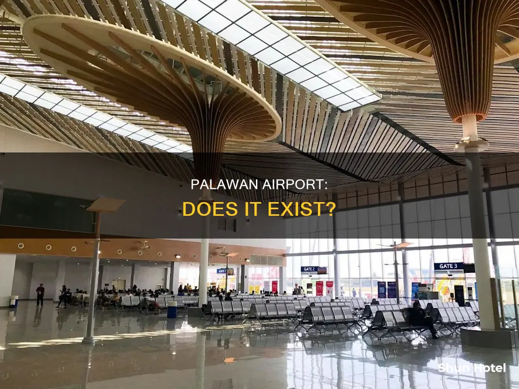 is there an airport in palawan