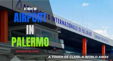 Palermo Airport: Travel Guide to the Sicilian City's Aviation Hub
