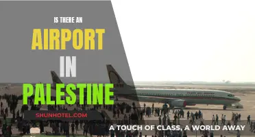 Palestine's Airport: Does it Exist?