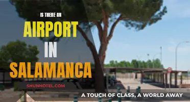 Airport Accessibility: Salamanca's Aviation Hub
